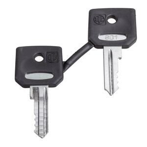 Schneider Electric Ersatzschlüssel für Schlüsselschalter ZBD8D1 (VE2)
