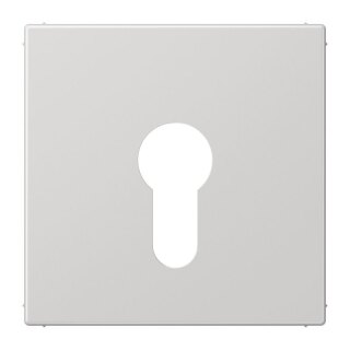 Jung Abdeckung lgr für Schlüsselschalt. LS 925 LG