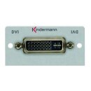 Kindermann DVI-I Einsatz 7444-402 50x50 mit...