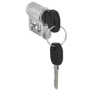 ABN FZ2 Profilhalbzylinder 30mm gleichschließend 2 Schlüssel