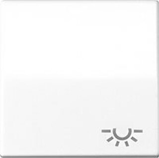Jung Wippe Symbol LICHT aws für Schalter/Taster ABAS 591 L WW