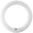 PHILIPS-LM Leuchtstofflampe 32W MASTER 4000K A G10q Ring TL-E CIRCULAR 3