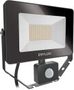ESYLUX LED-Strahler 30W 3000K 3000lm sw AFL BASIC LED 30W...