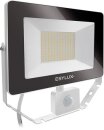 ESYLUX LED-Strahler 50W 3000K 5000lm ws AFL BASIC LED 50W...
