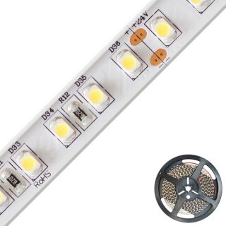 EVN LED-Lichtband 9,6W/m ws warm 3000K SB6724602802 120Stk/m IP67 DC 24V