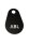 ABL EMOBILITY - 100000253 RFID Keyfobs Autorisierung v.Ladevorg